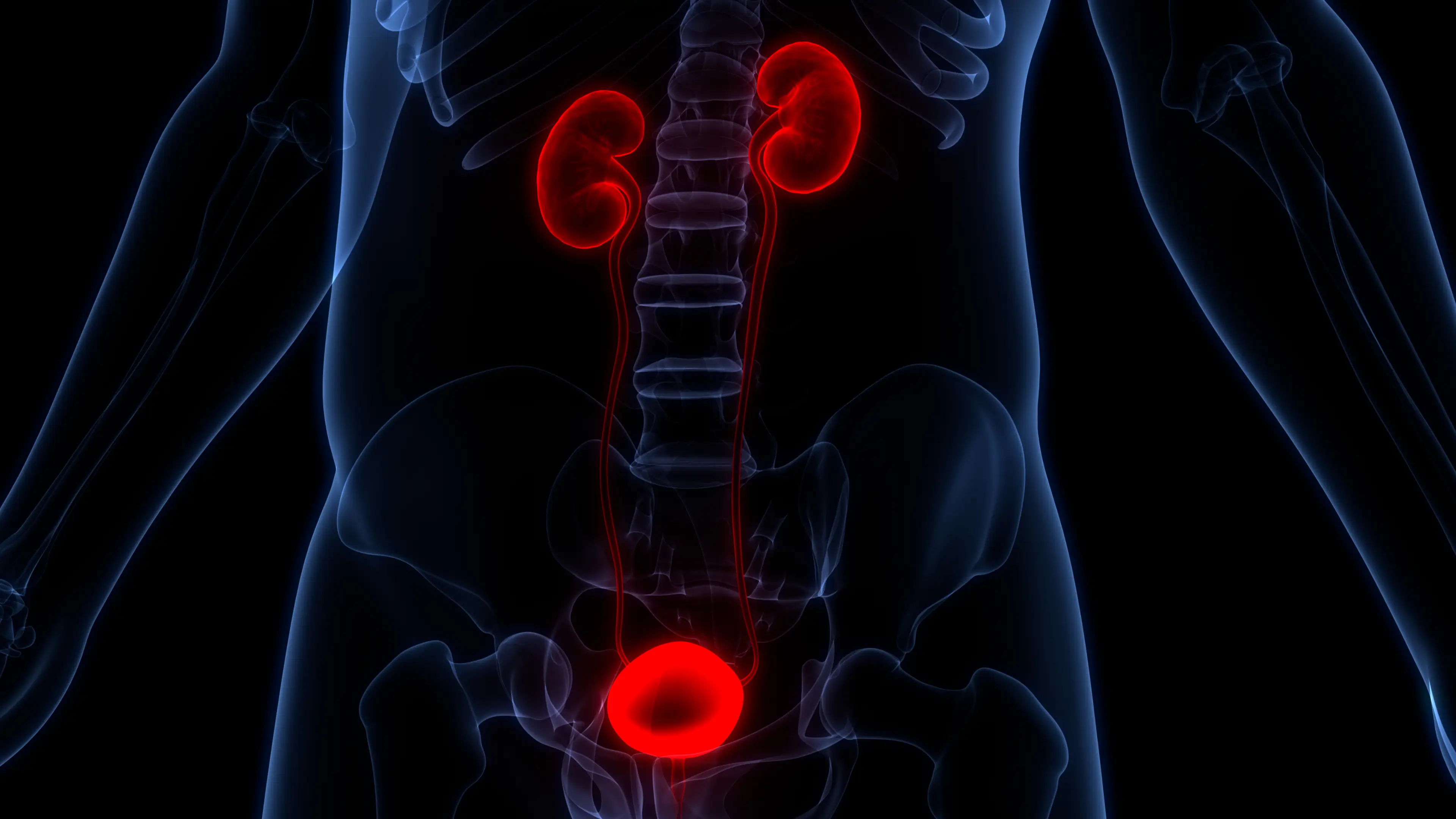 There are a number of other symptoms linked to bladder cancer, other than blood in your urine (magicmine / Getty Images)