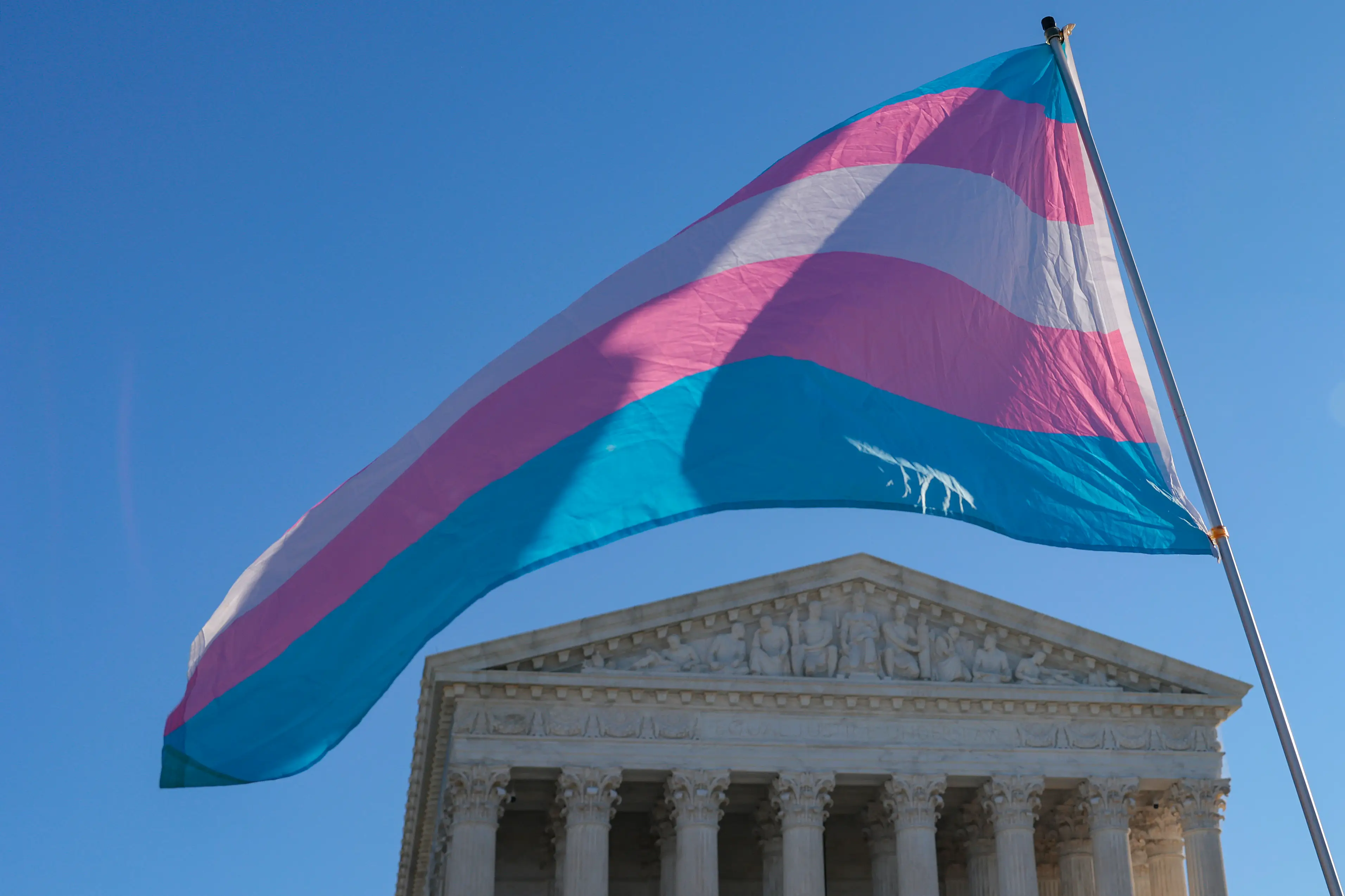 Protesters supporting transgender athletes competing in women's sports (Heather Diehl/Getty Images)