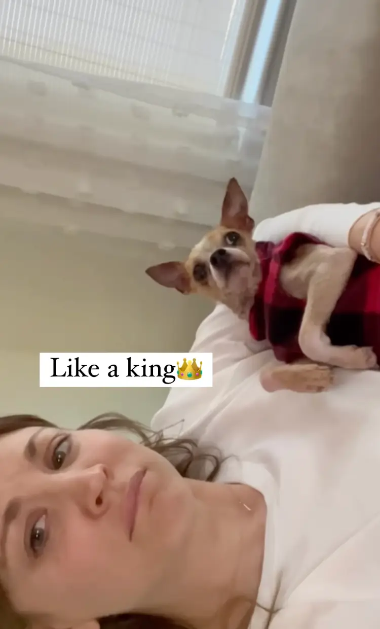 Kaley Cuoco has issued a warning to fellow pet owners over the dangers of foxtail plants.