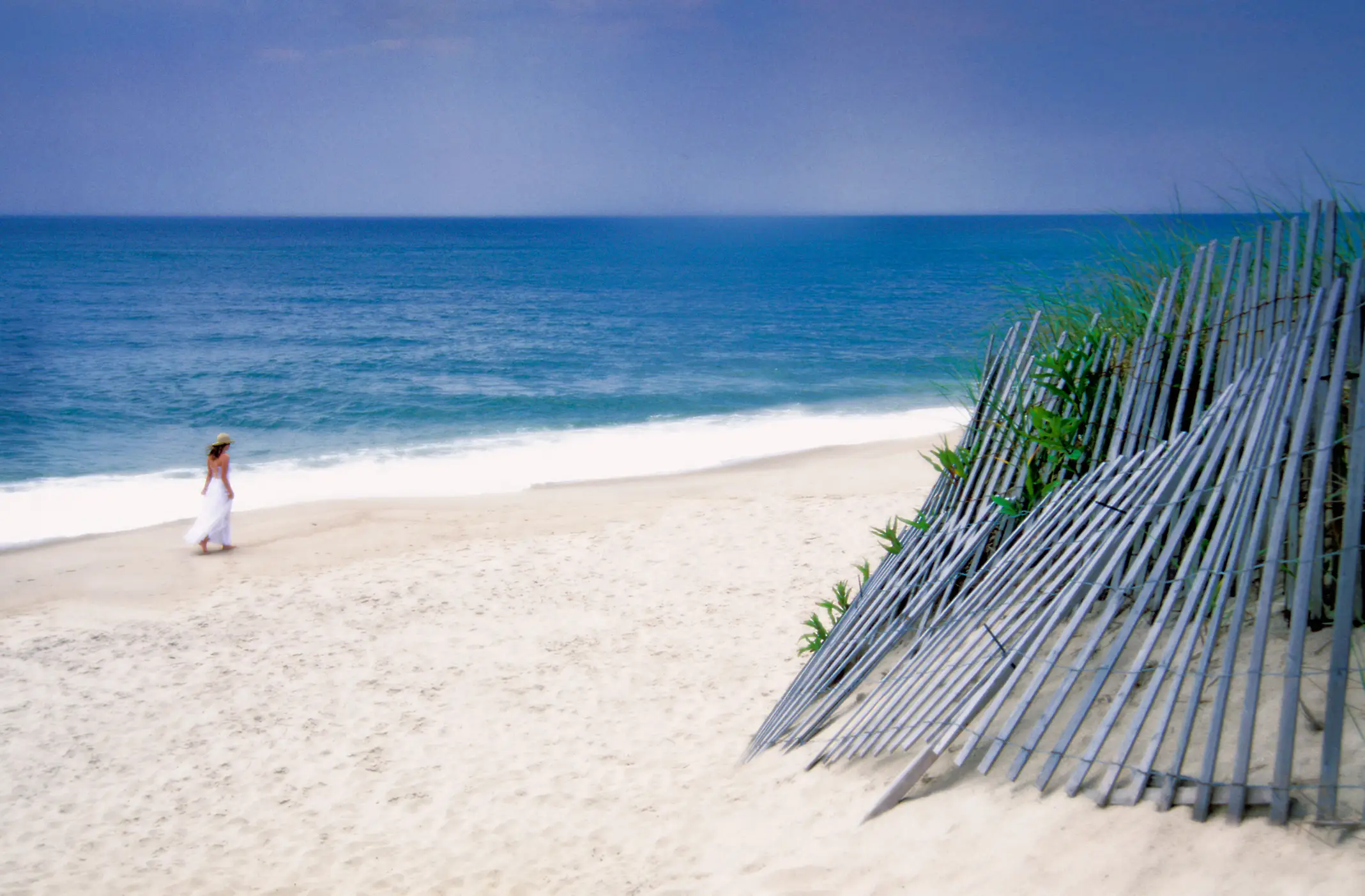 People have made the connection between Lyme disease and the Hamptons (Grant Faint/Getty Images)