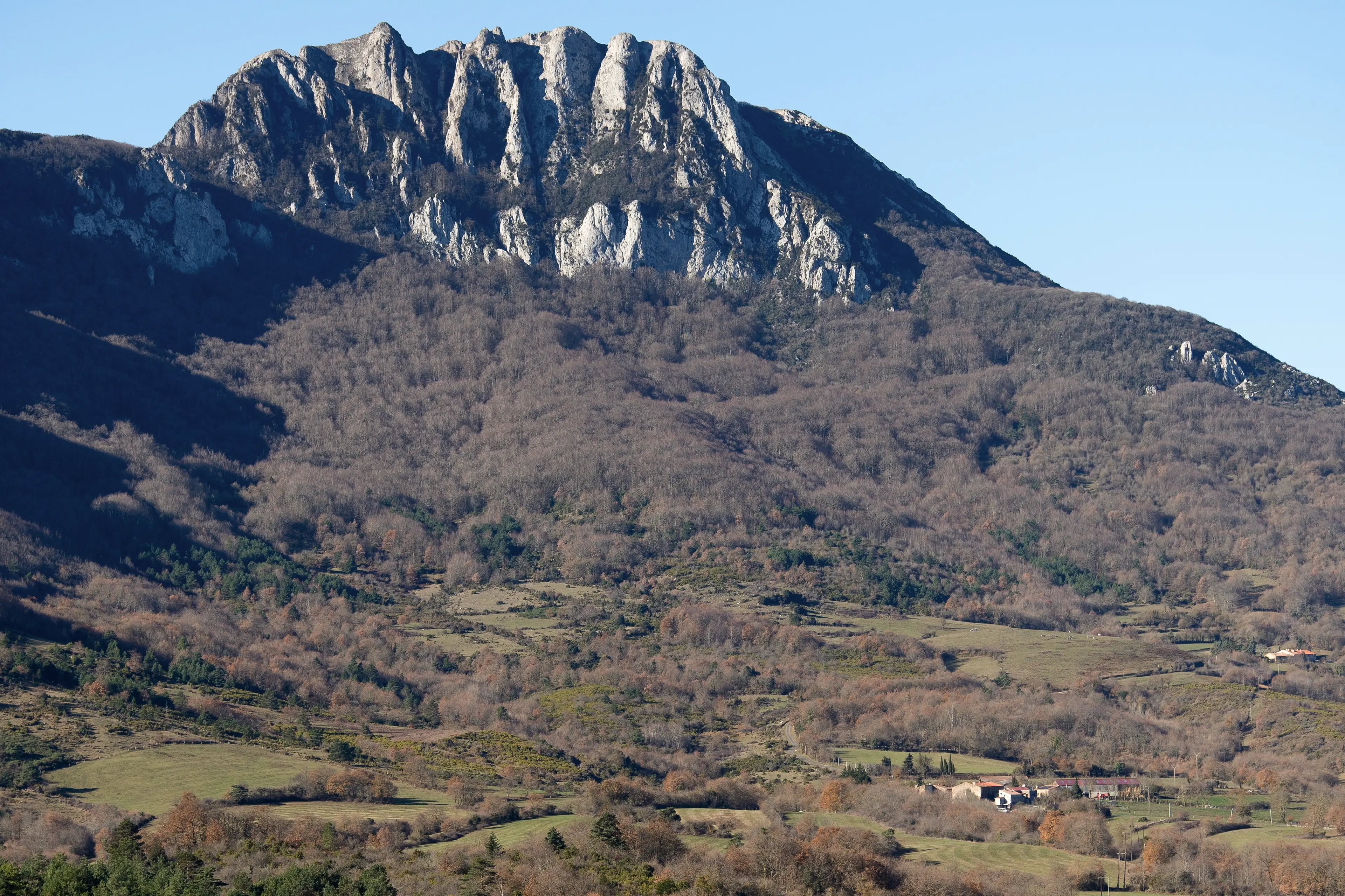 Batty was found wandering through the Pyrenees (MATTHIEU RONDEL/AFP via Getty Images)