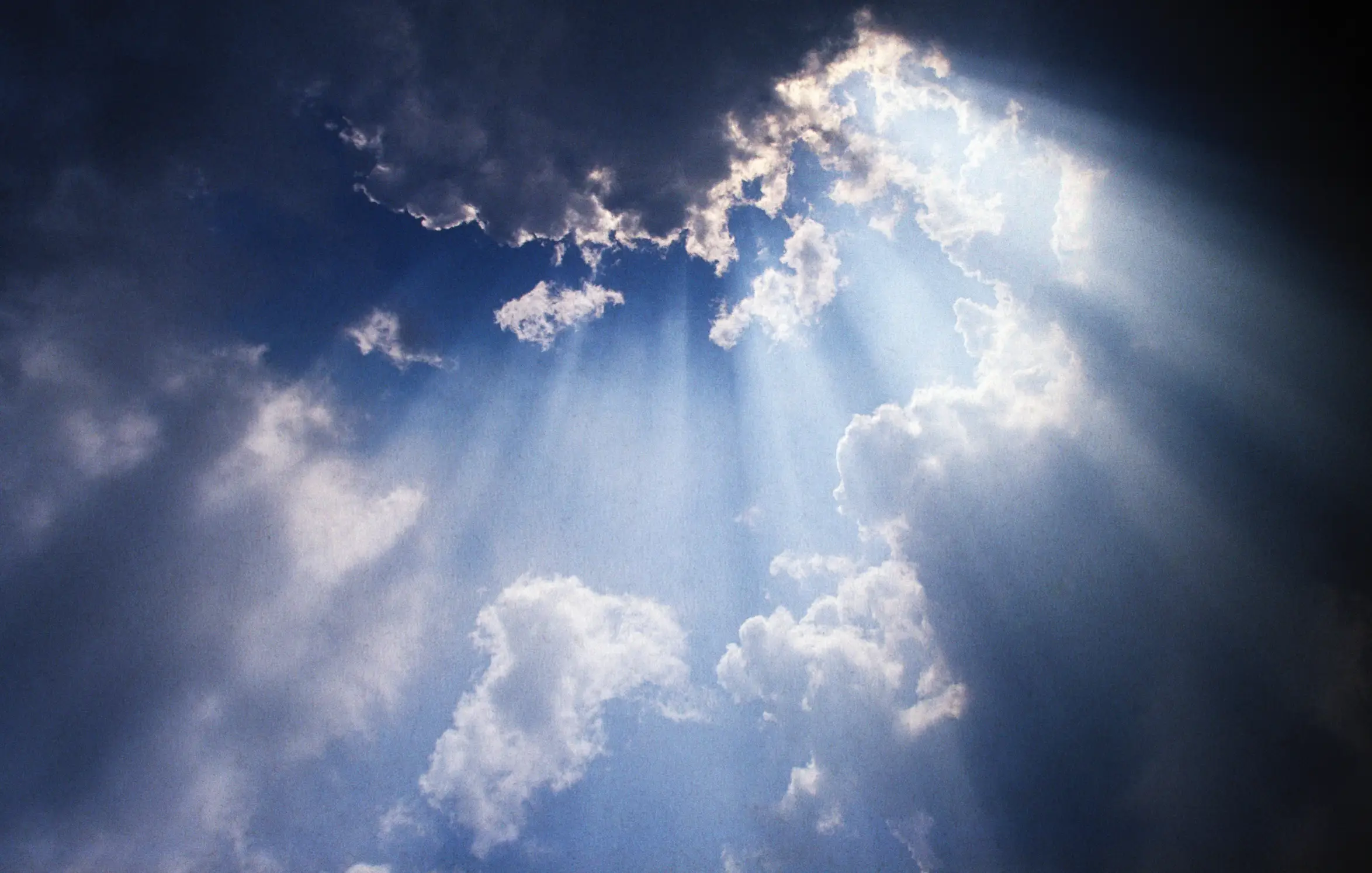 Julie says she briefly visited heaven (Andrew Holt/Getty)