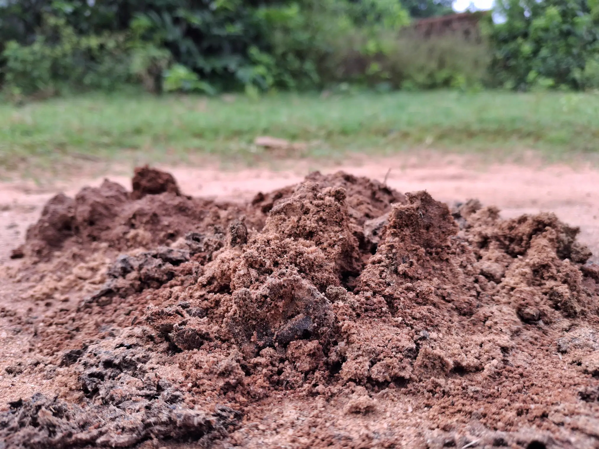 Smith had requested 'rhaeakunda dirt' (Getty Stock Images)