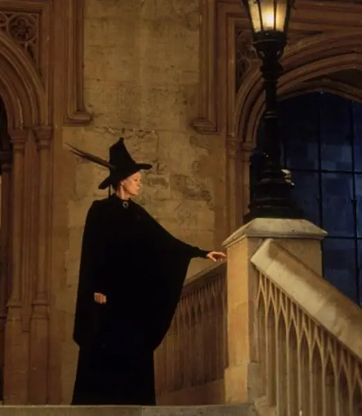 The actress wanted to move away from comedy (Warner Bros)