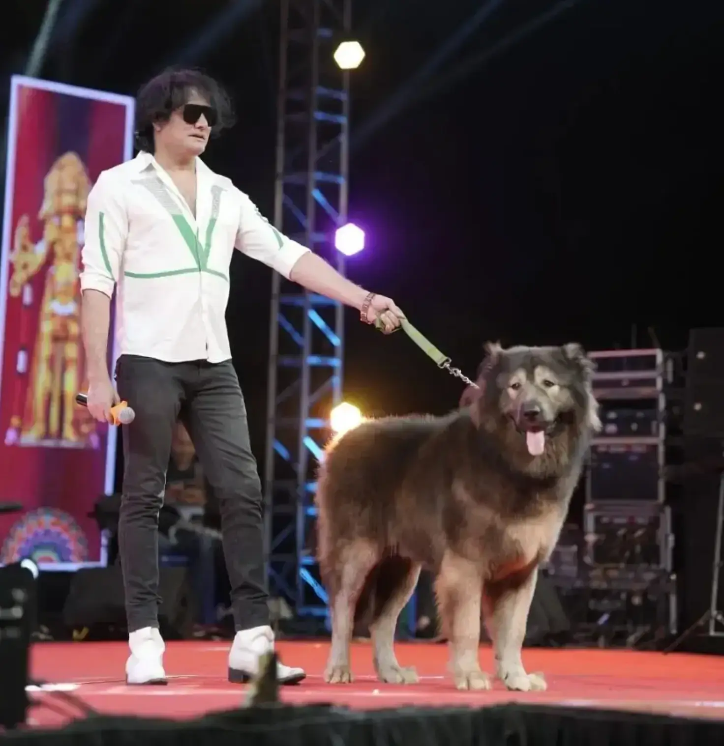 Okami was sold for $5.7 million and now lives in India (Tv9 Kannada/YouTube)