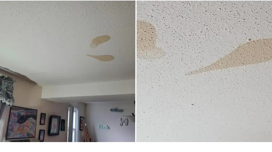 Reddit/RainbowUnicorn0228