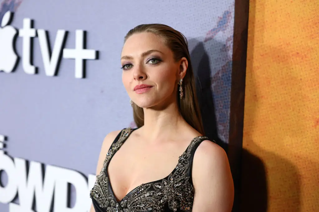 Amanda Seyfried once opened up about her regrets from her first few years in Hollywood (Theo Wargo/GA/The Hollywood Reporter via Getty Images)