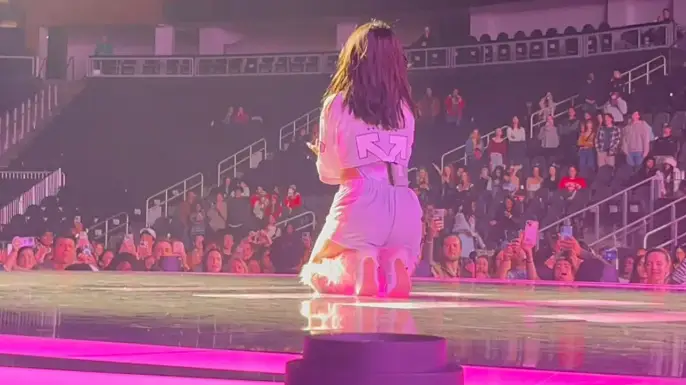 Camila Cabello issued support from fans after people spot sad detail in viral video