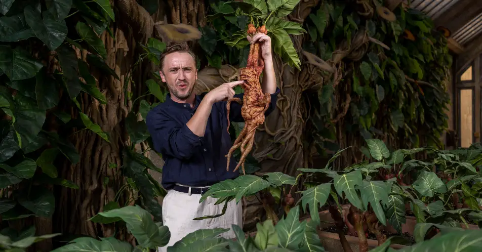  Tom Felton unveils Professor Sprout’s greenhouse, part of the new Mandrakes and Magical Creatures feature opening at Warner Bros. Studio Tour London 1st July.