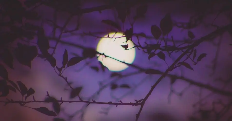 The Snow moon will reach its highest point at midnight tonight. (