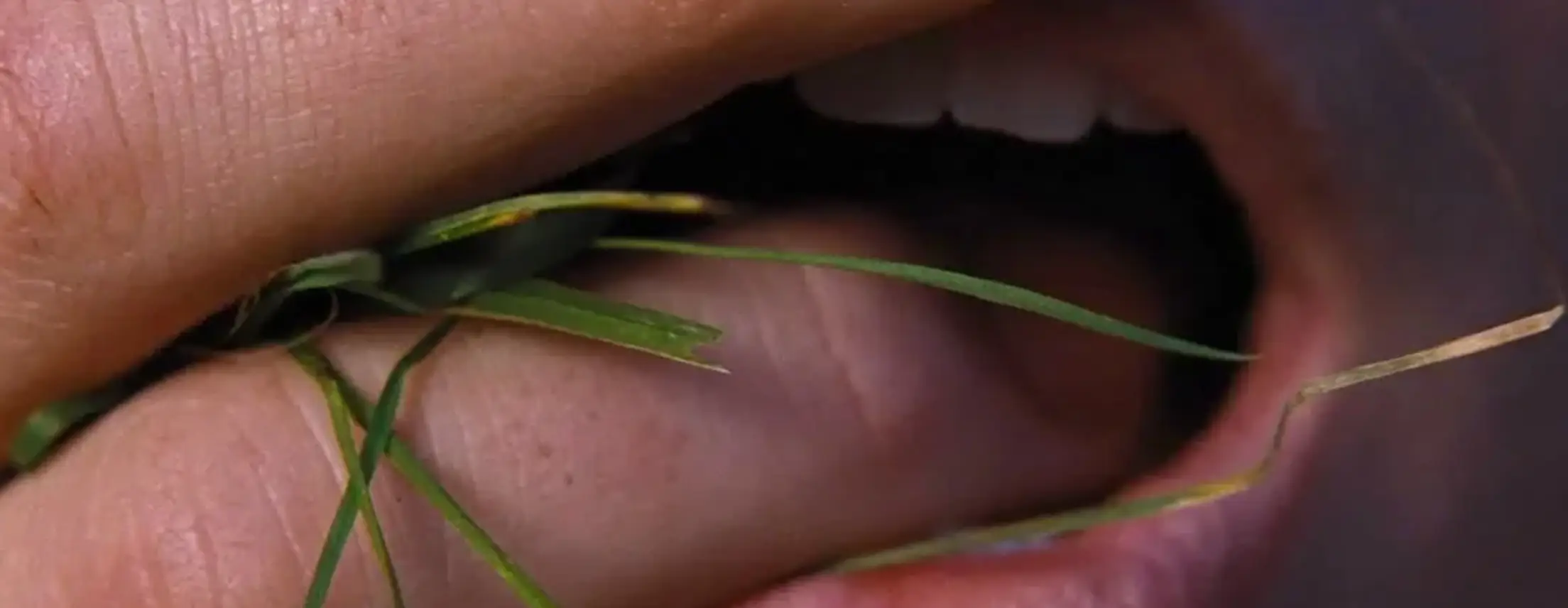 Some found the finger sucking business the epitome of 'hot' (Warner Bros.)