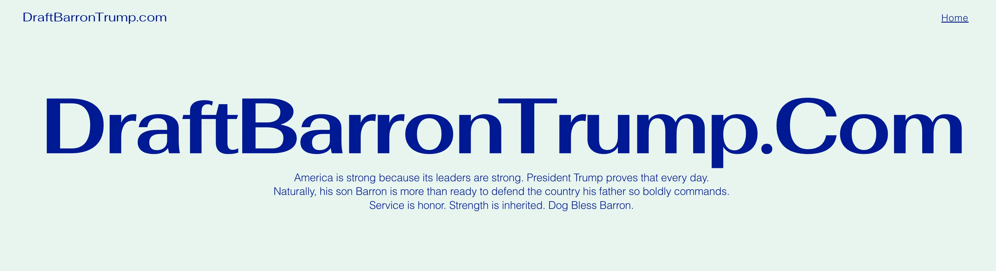 The website reportedly popped up on the same day the US fired missiles at Iran (DraftBarronTrump.com)