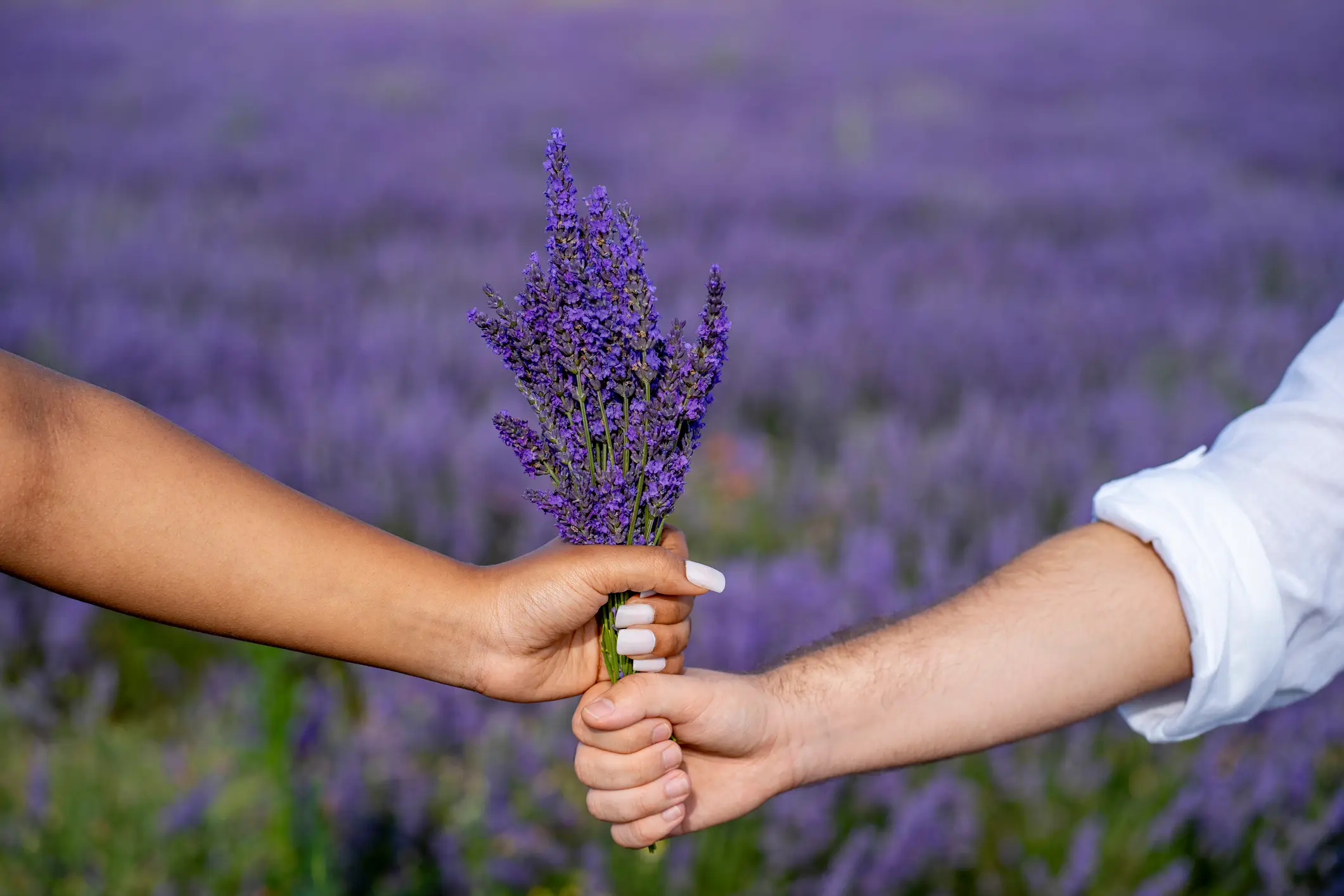 The term 'lavender marriage' has been explained (D. Giraldez Alonso/ Getty Stock)