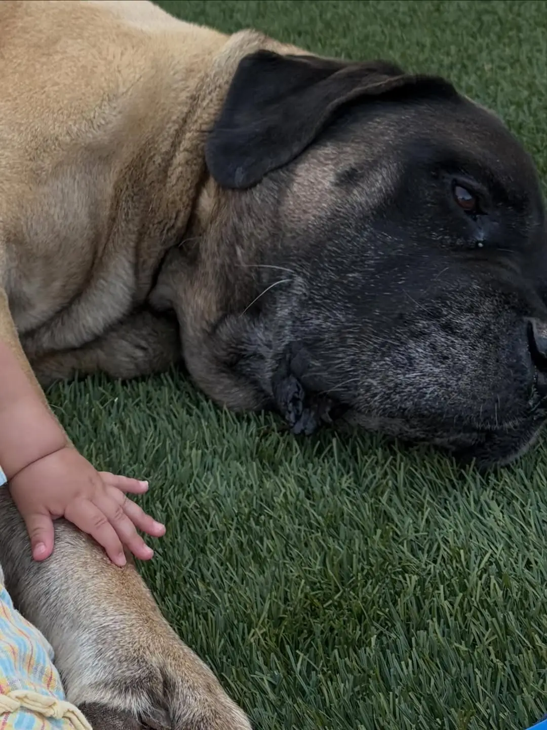 Fans were left gushing over the adorable photo (Instagram/@milliebobbybrown)