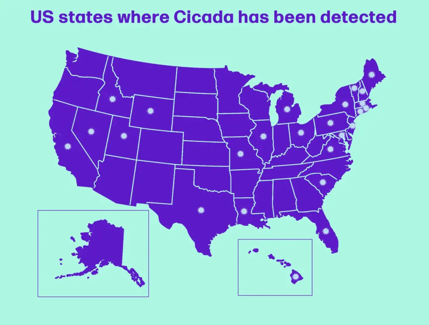 (Tyla/Getty Stock Image)