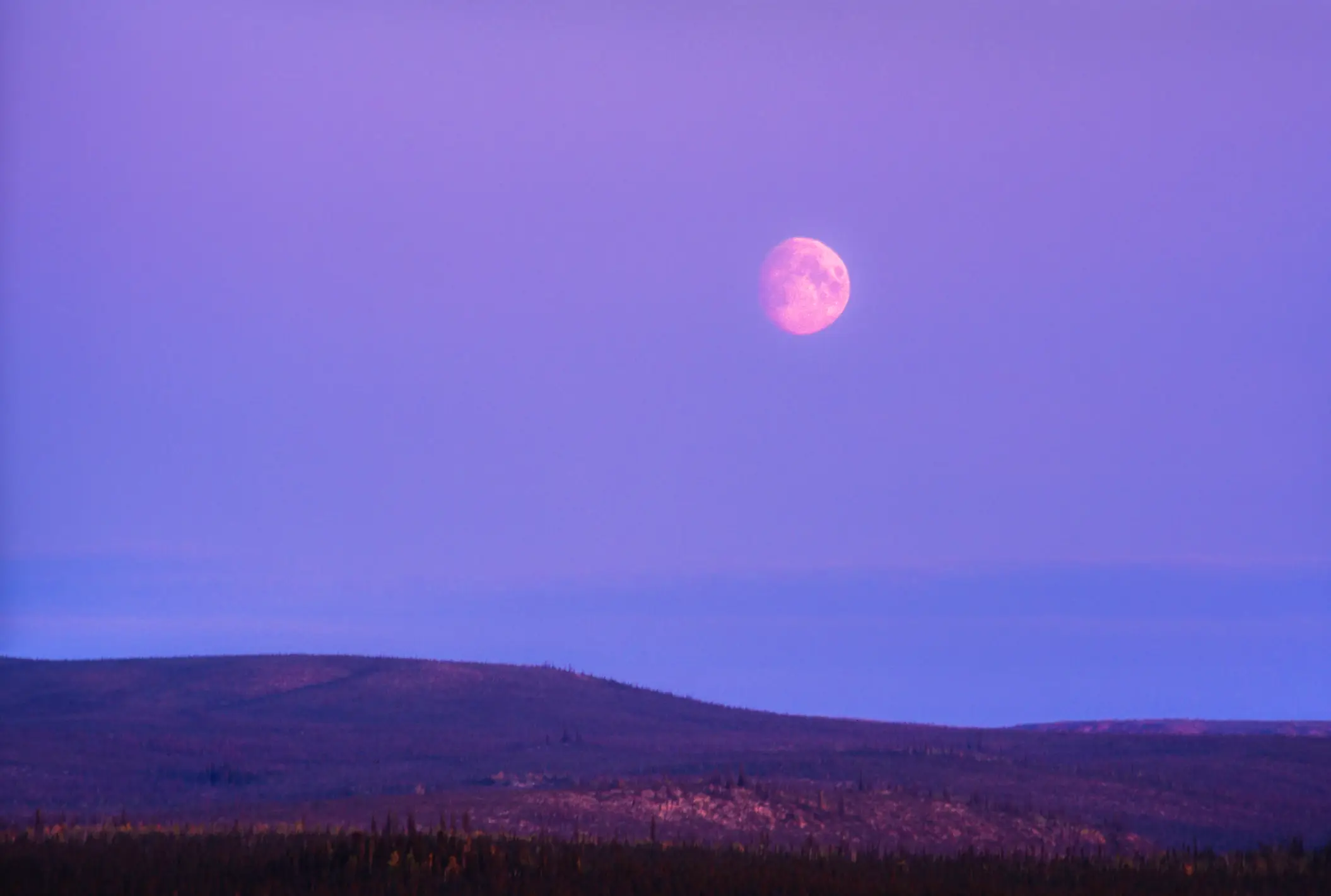There are a list of things that you should avoid doing during the Pink Moon, according to experts (Pierre Longnus/Getty Images)