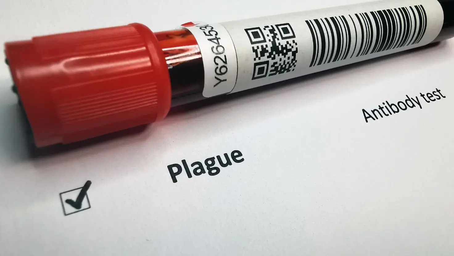 A person has died in Arizona after contracting the plague (Getty Stock Image)