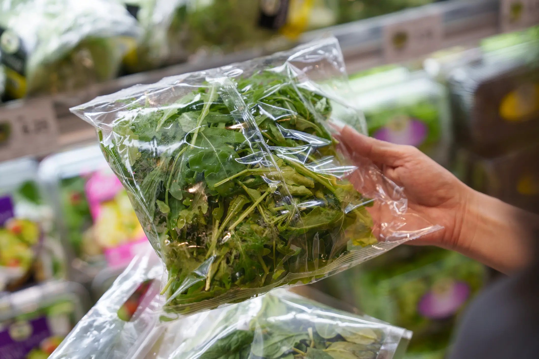 Although a source is yet to be confirmed, experts have highlighted that pre-mixed salad bags were previously to blame (Getty Stock Image)