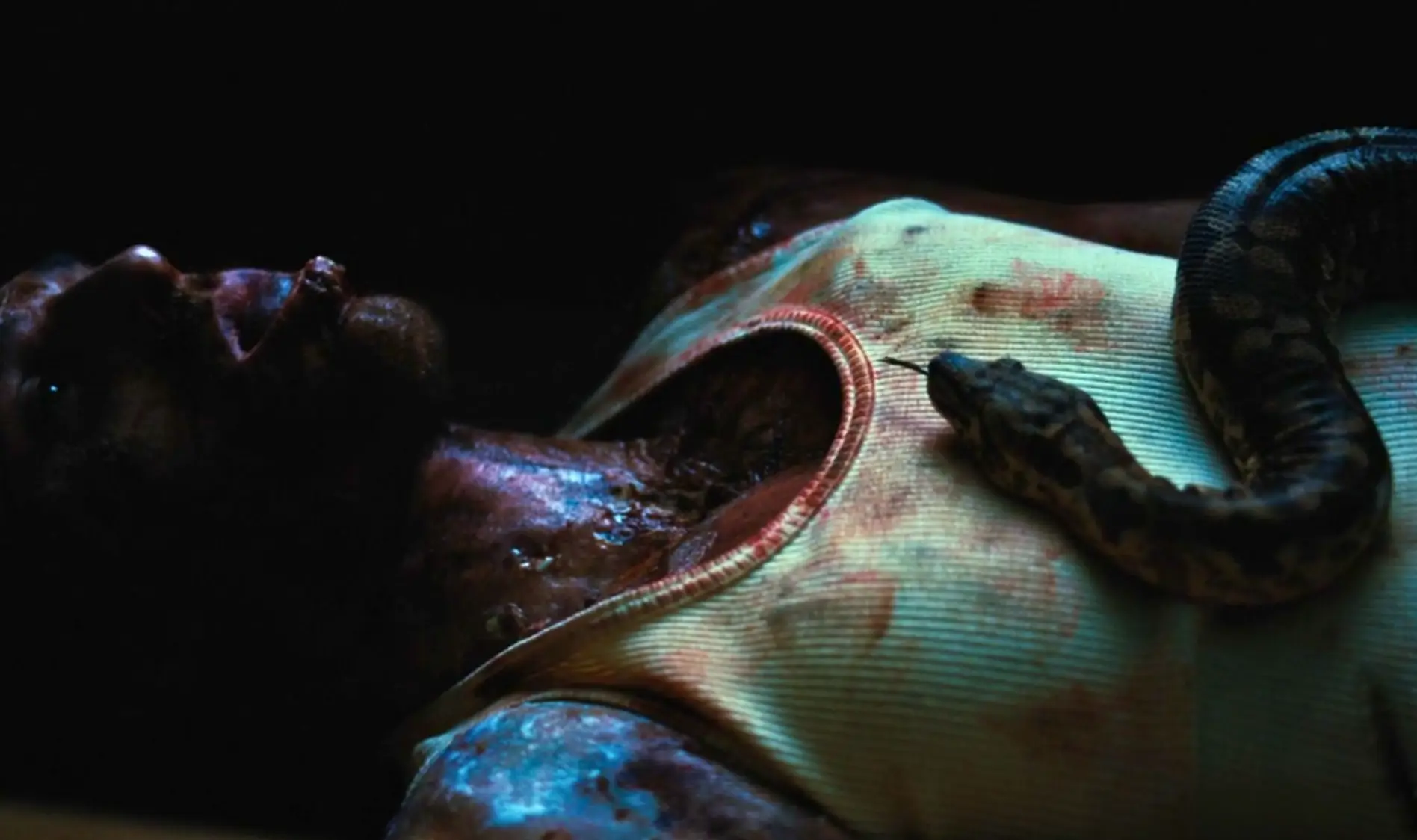 Nate had already been killed by a snake (HBO)