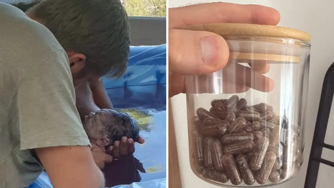 Instagram/Calvinharris