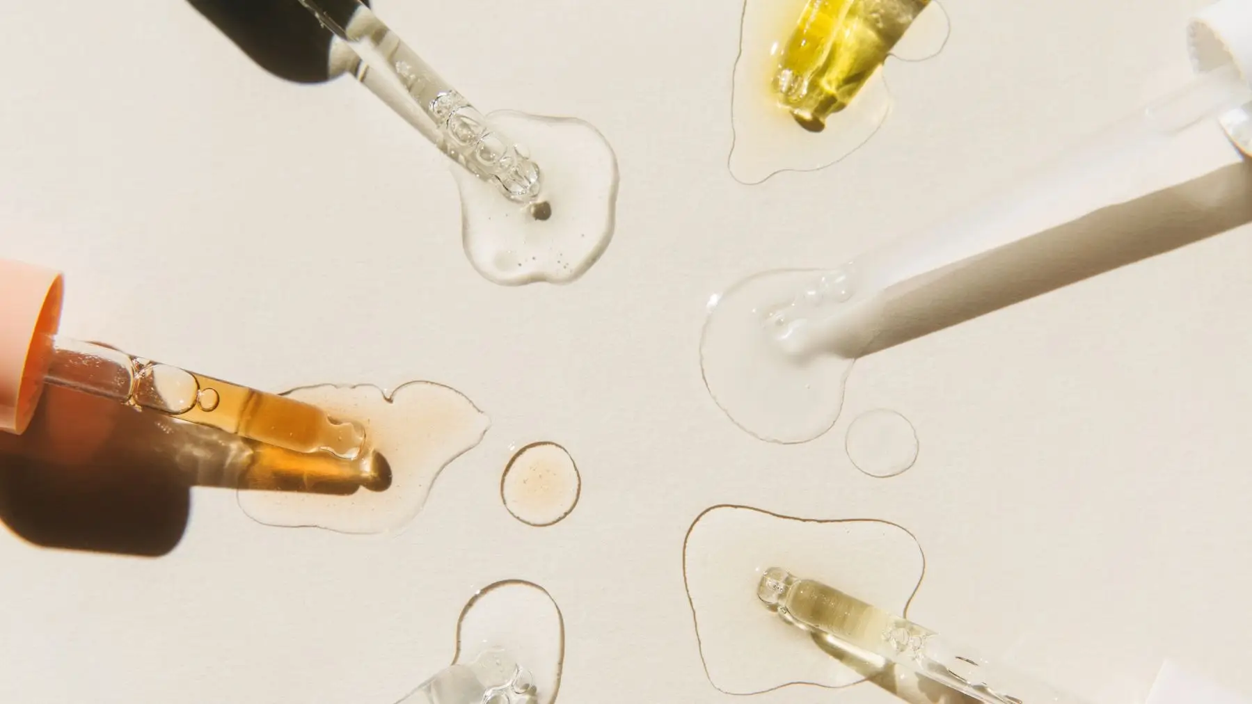 Ceramides, explained like a human: what they are and why they matter
