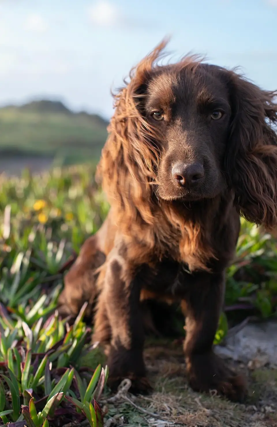 The couple announced Otto's 1st birthday (X/@KensingtonRoyal)
