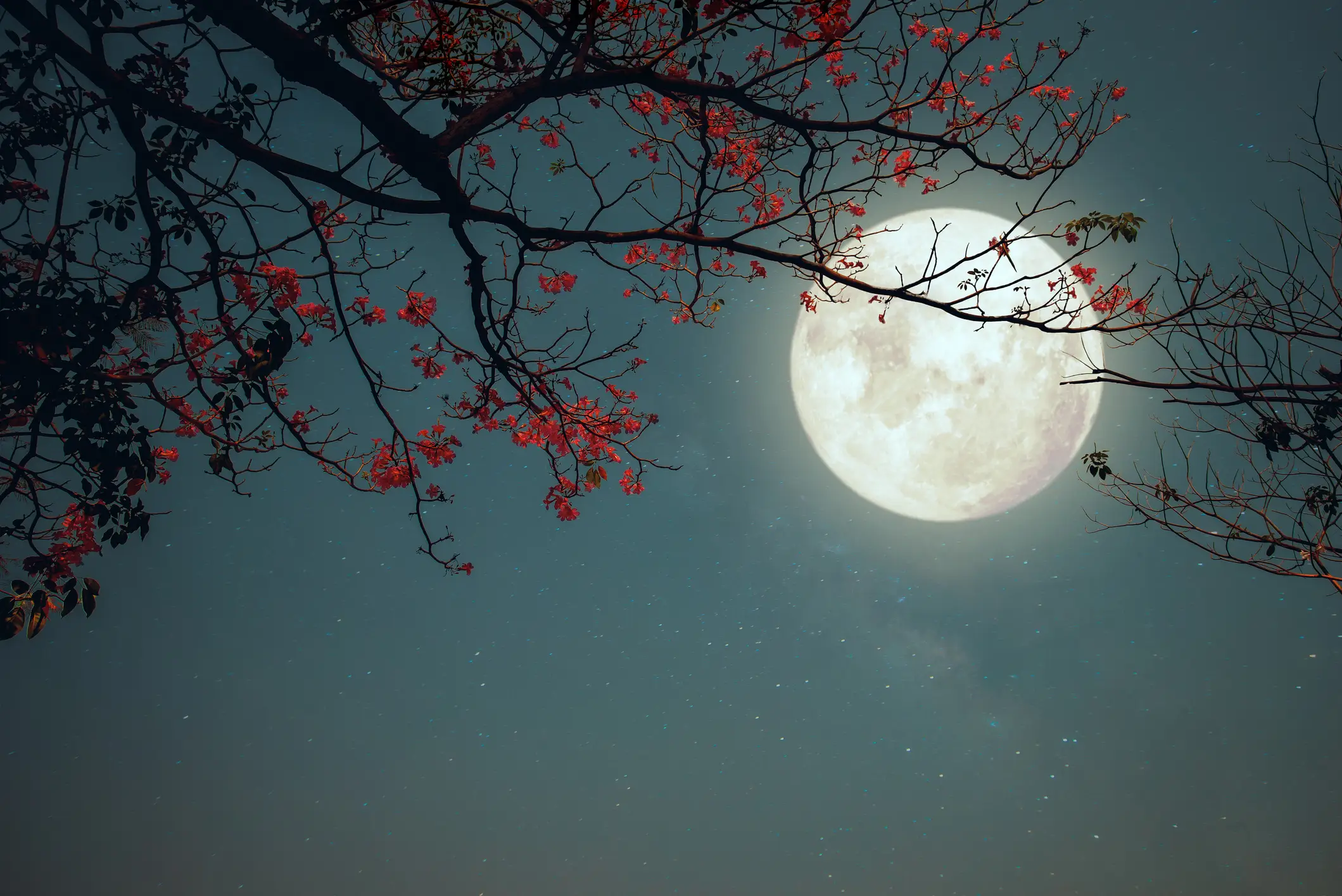 The Flower Moon will be bright enough to be visible between 22 - 24 May. (Getty Stock Image)