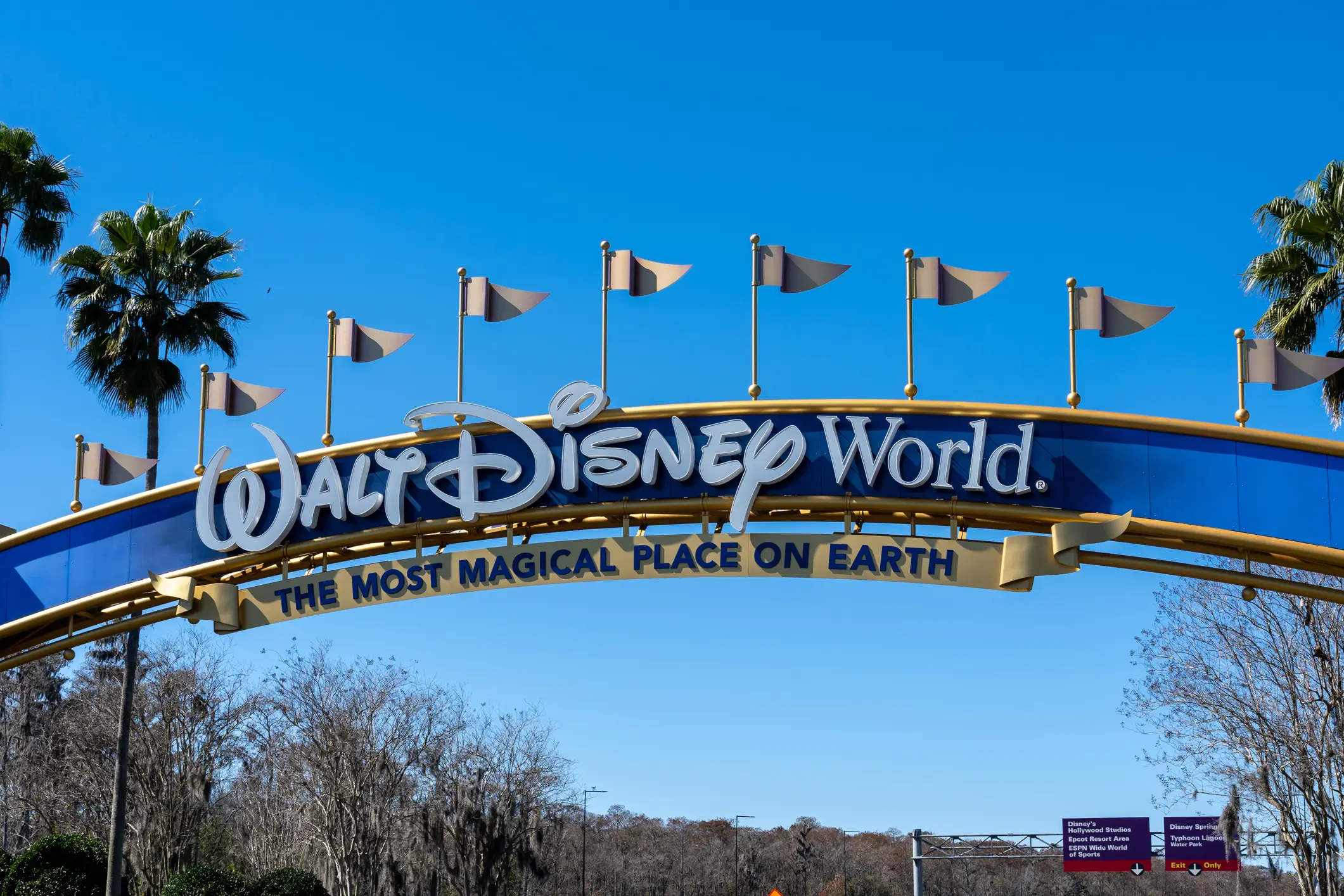 Walt Disney World is yet to publicly respond to the lawsuit (JHVEPhoto/Getty Images)