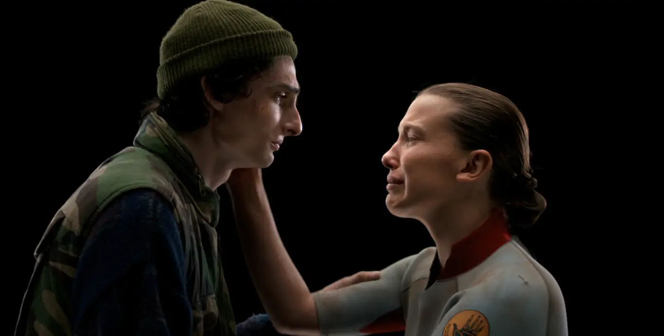 In the finale, Eleven emotionally says goodbye to Mike before sacrificing herself (Netflix)