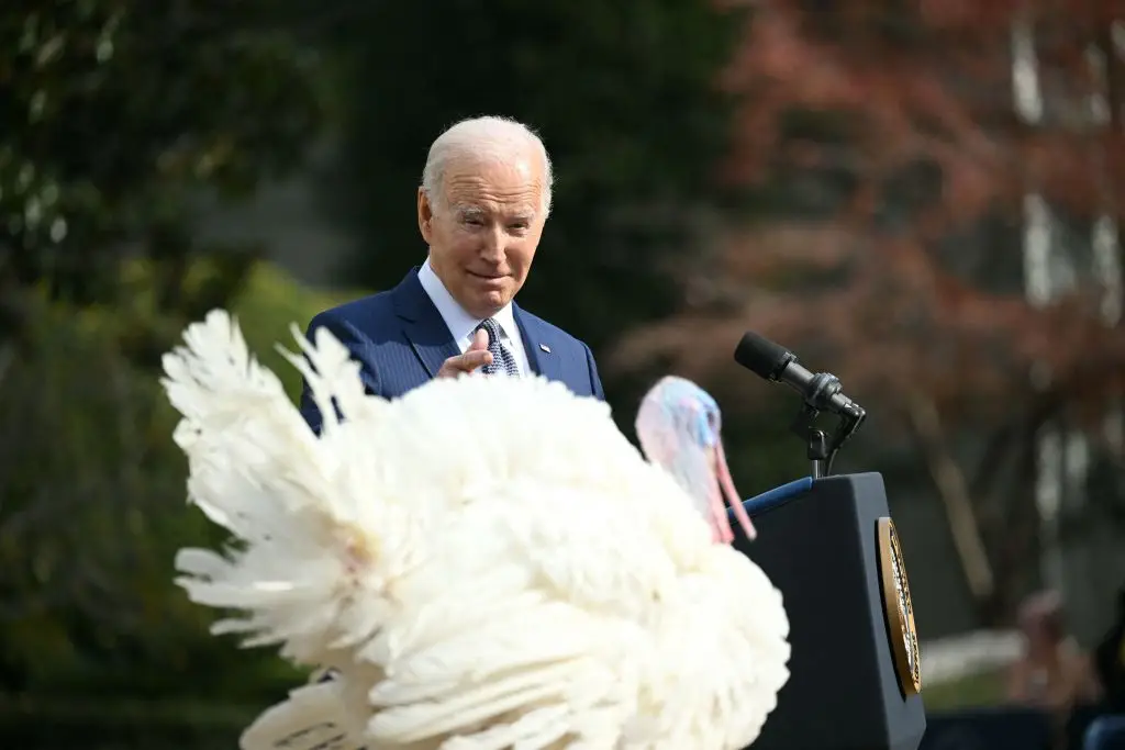 Trump has claimed that Joe Biden's pardoning of the turkeys last year was 'totally invalid' (MANDEL NGAN/AFP via Getty Images)