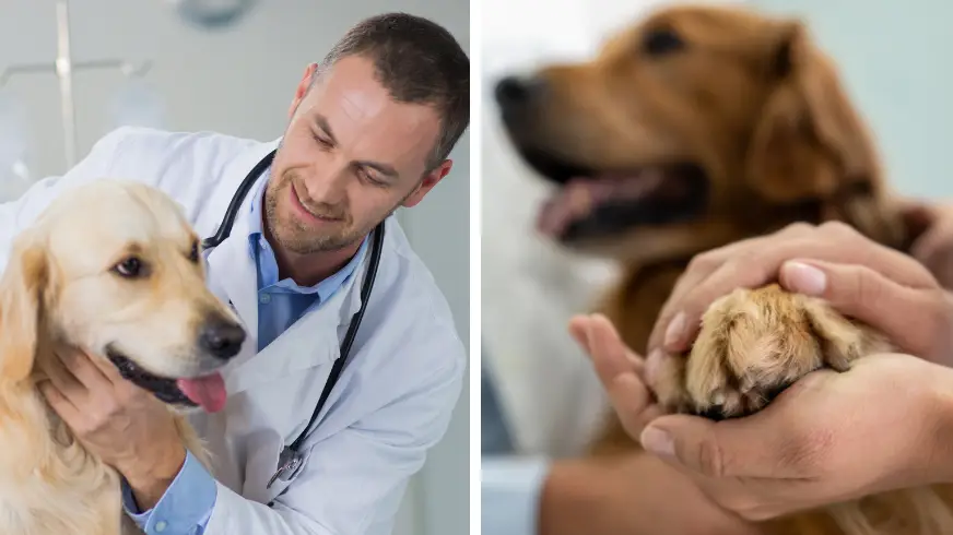 simonkr / FatCamera / Getty Images