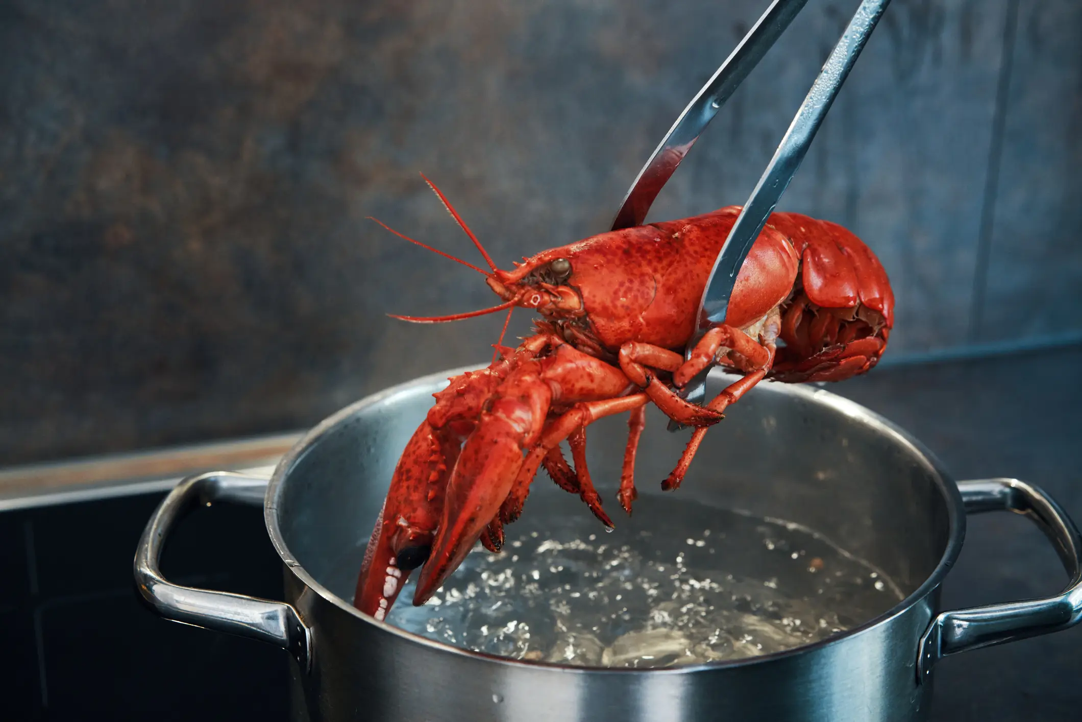 The US military reportedly spent $9 million on crab legs and lobster in September 2025 (Getty Stock Images)