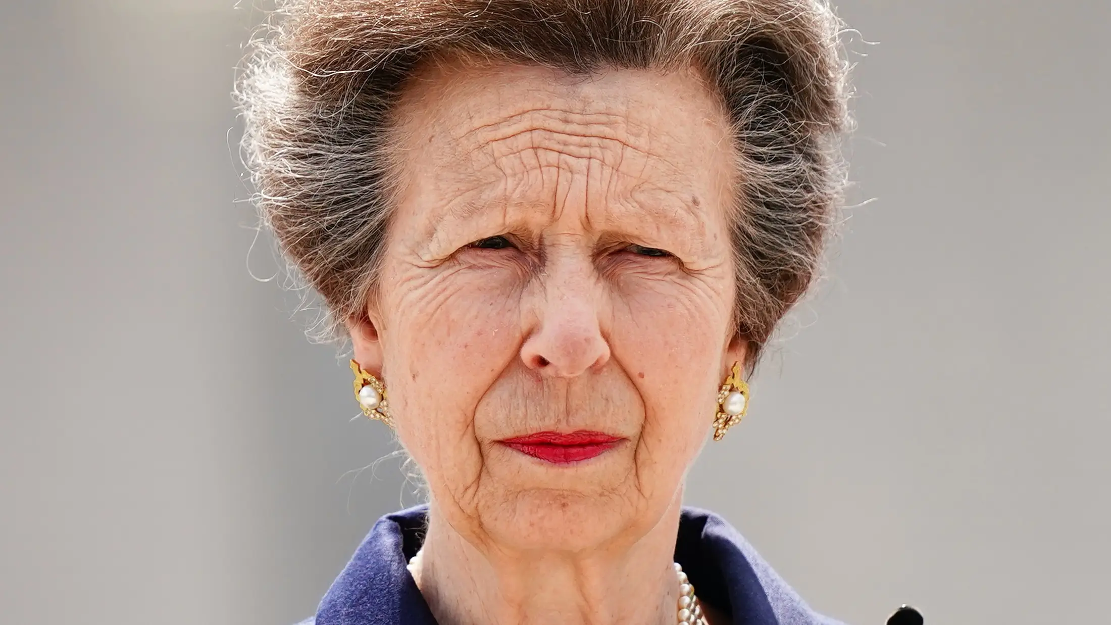 Princess Anne gave brutal warning to Prince William and Harry in rare interview