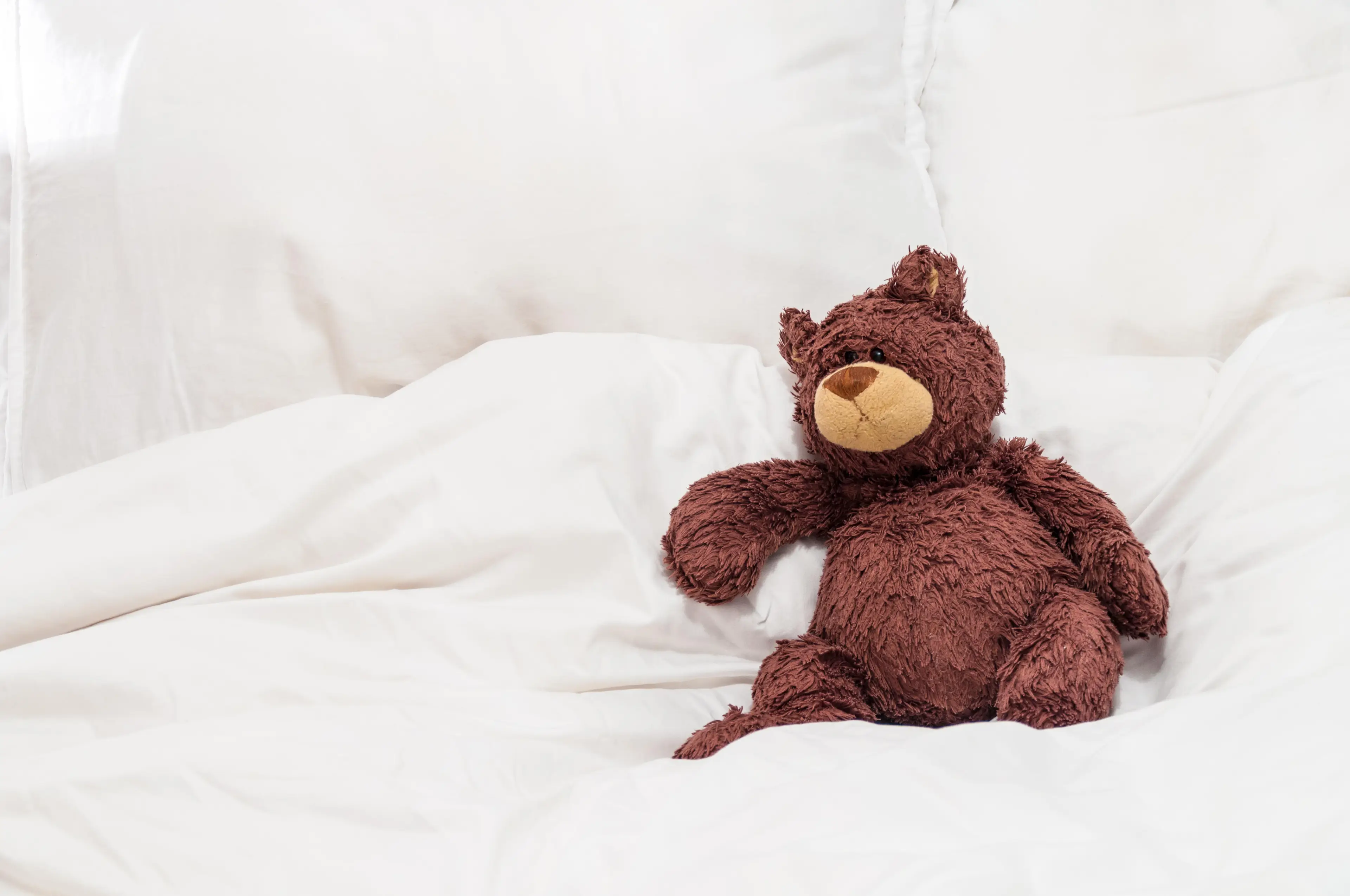 You can also try popping a pillow case in the freezer too, alongside a toy and any bed sheets.