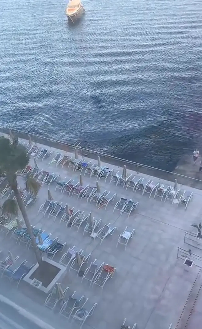 A TikTok filmed the drama unfolding down below.