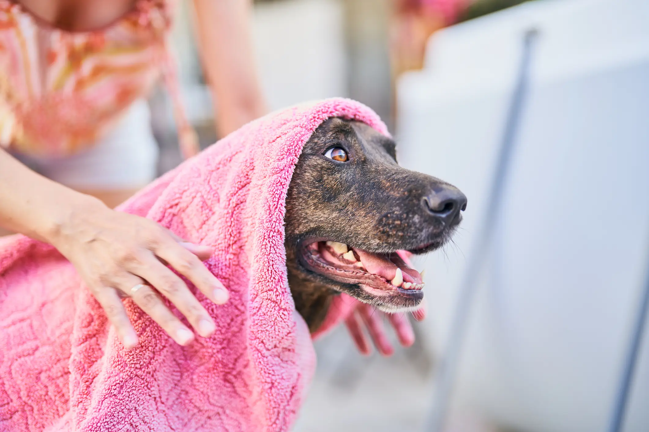 Temperatures could climb towards 40°C in some parts of the UK this week (Getty Stock Images)