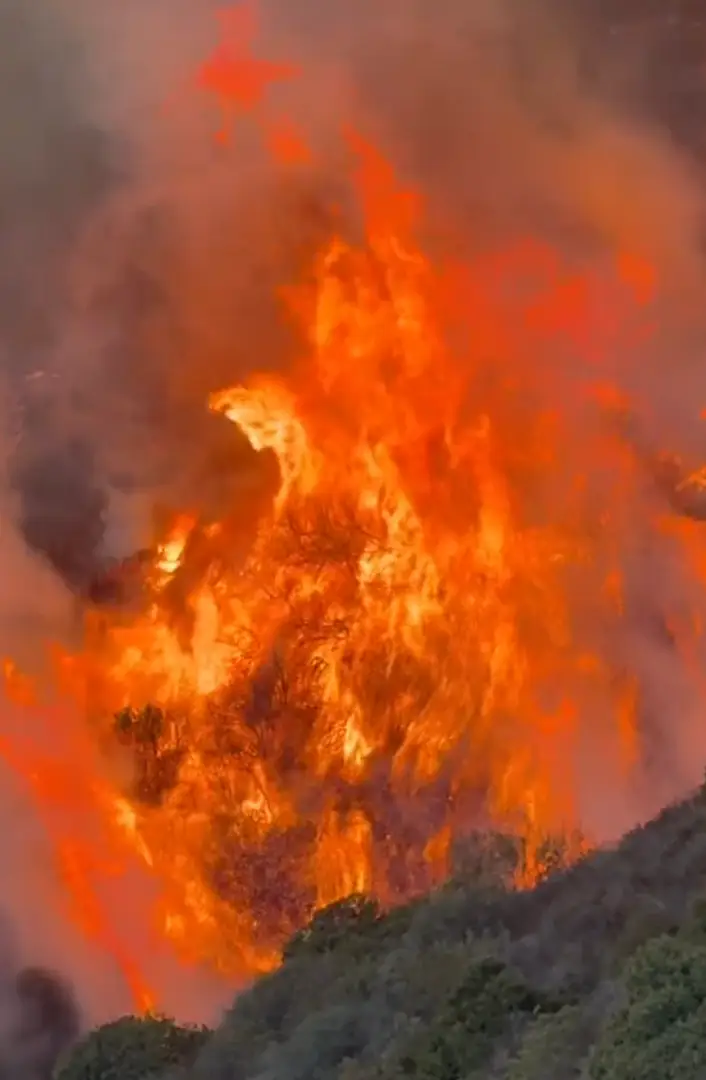 Their property was among those in the Palisades area that was burned to the ground (TikTok/@spencerpratt)