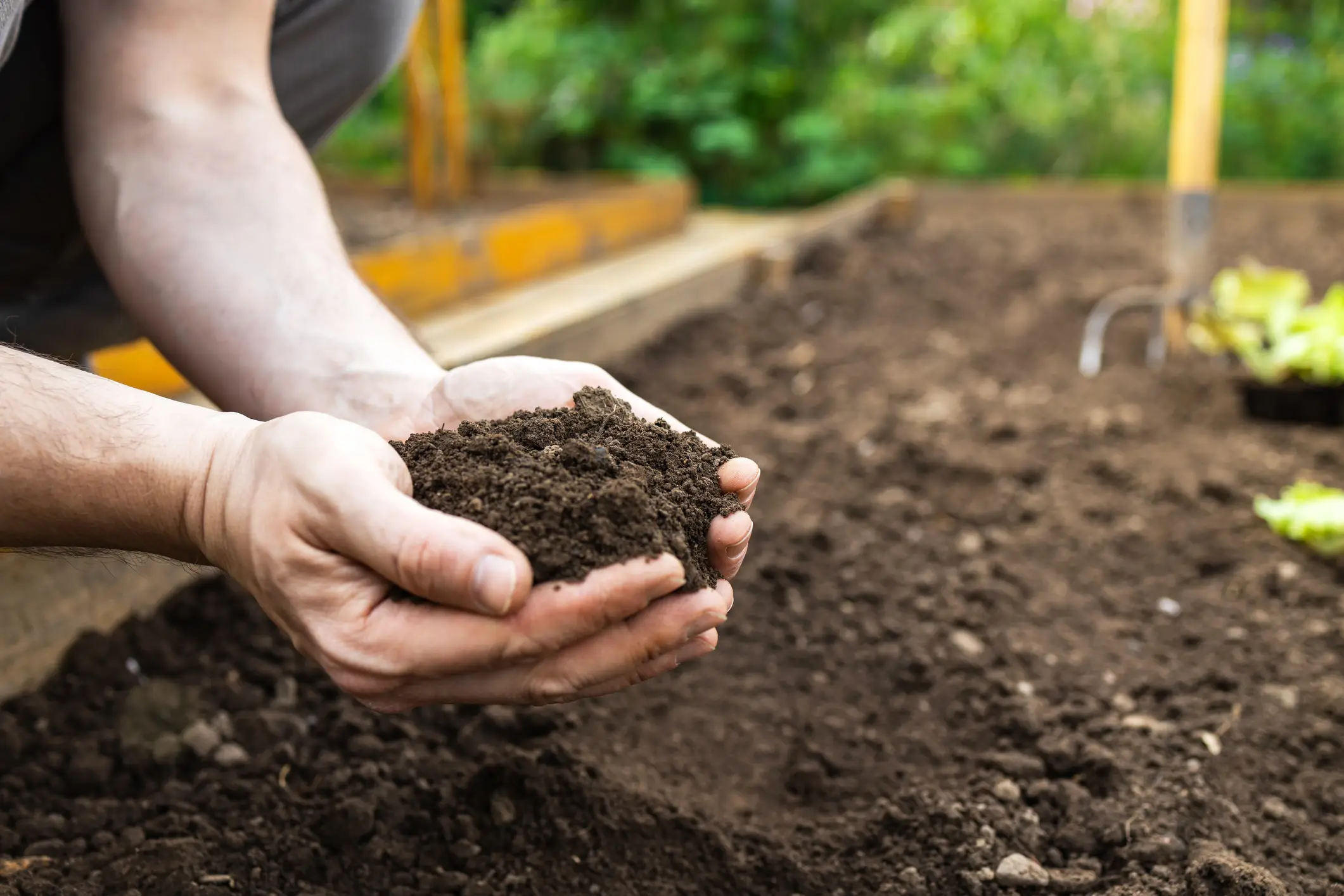 An unusual urge to eat things that are not food, including soil, ash, soap or even stones, could be a warning sign of iron deficiency (Getty Stock Images)