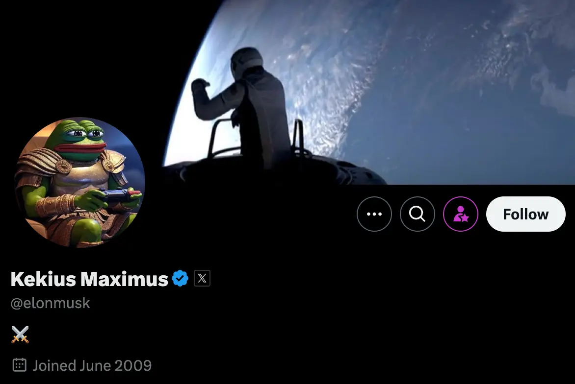 Musk has changed his name online (X/@elonmusk)