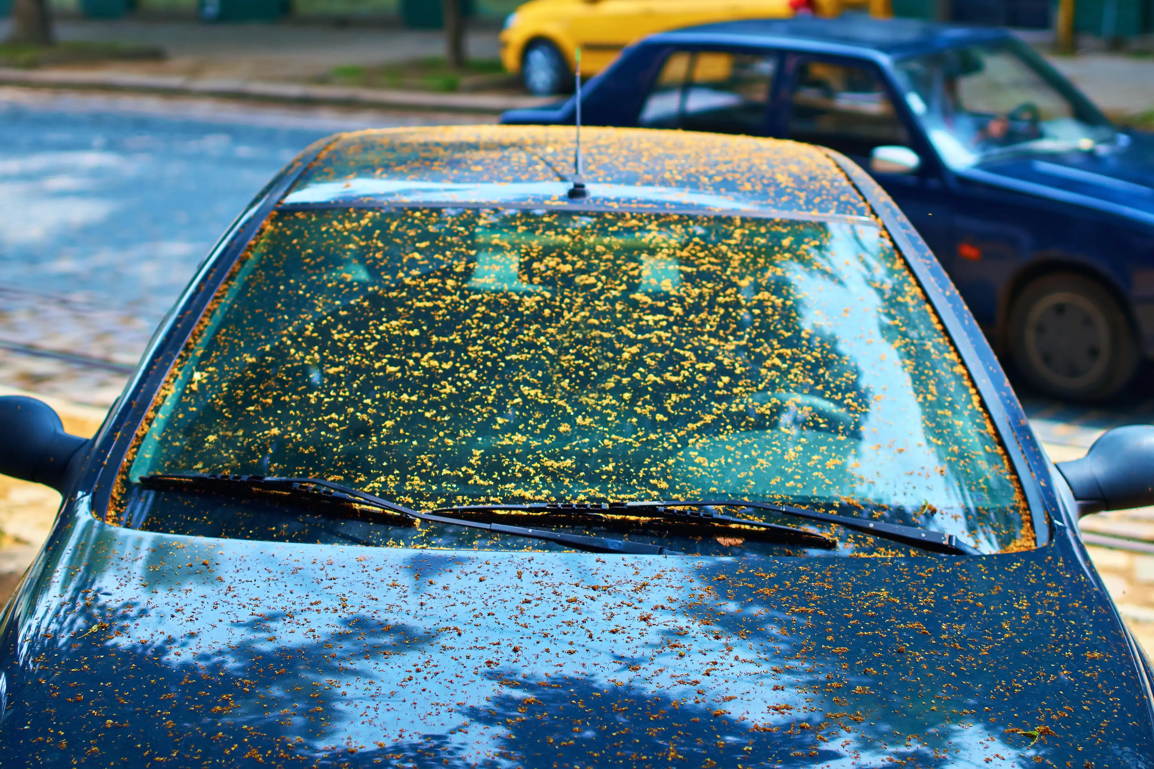 New laws mean that windows and windshields MUST be kept clean and clear (