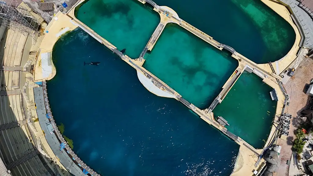 Wikie and Keijo have been stuck in Marineland since it closed earlier this year (Mohamad Salaheldin Abdelg Alsayed/Anadolu via Getty Images)