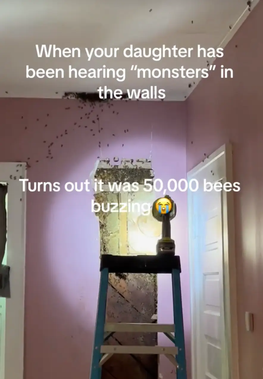 The woman shared her terrifying discovery on TikTok. (TikTok/@classyashley)