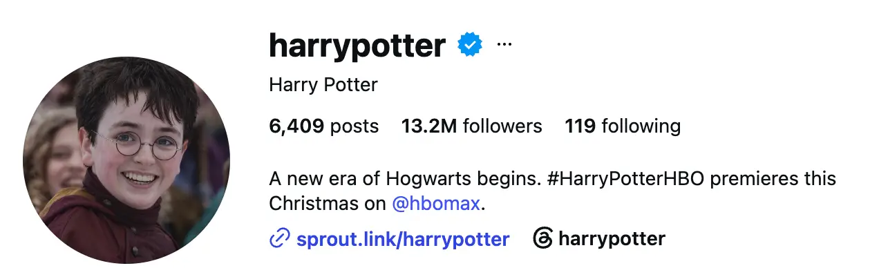 The new Harry Potter has entered the chat (Instagram/ @harrypotter)