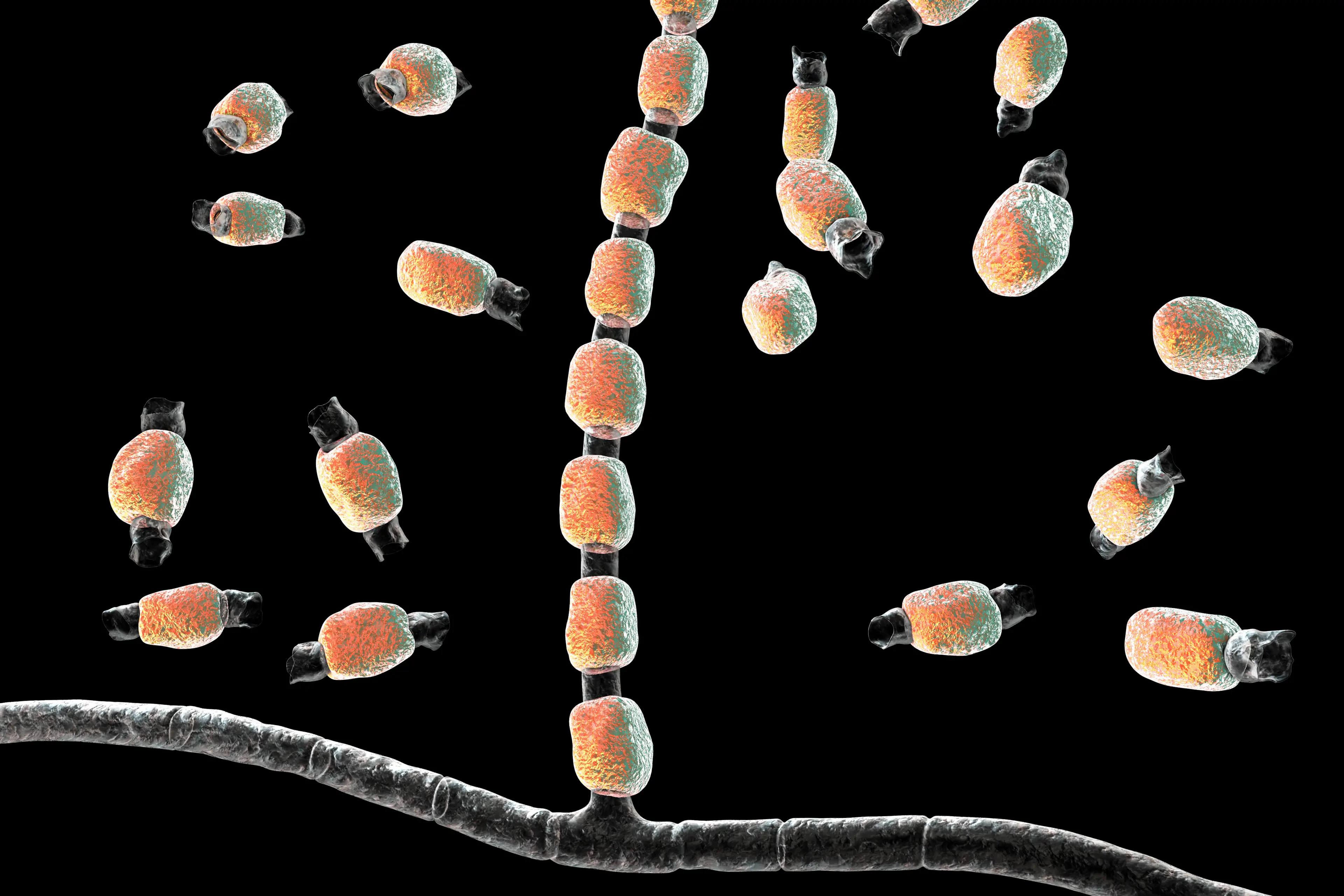 There has been a ‘dramatic explosion’ in cases (Getty stock images)