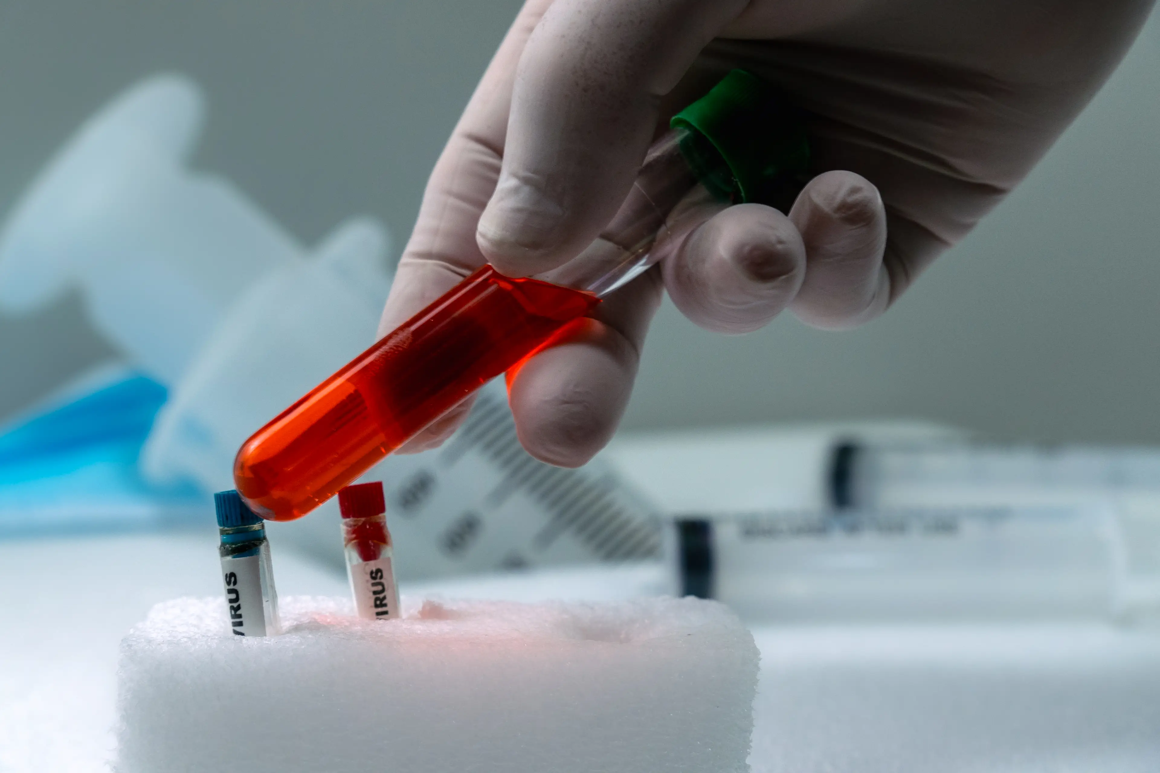 Both Ginkgo biloba and high-dose fish oil are known to thin blood (Getty Stock Image)