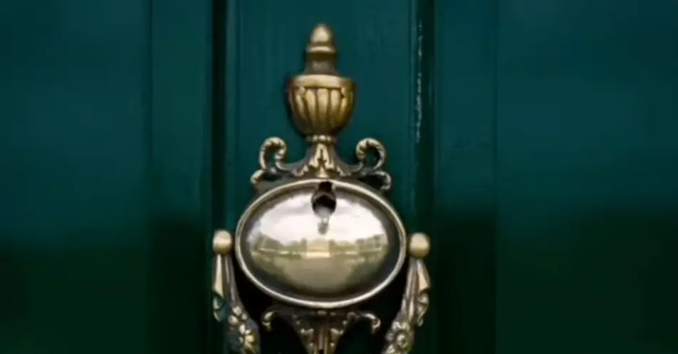 Bees are prominent throughout the series. (