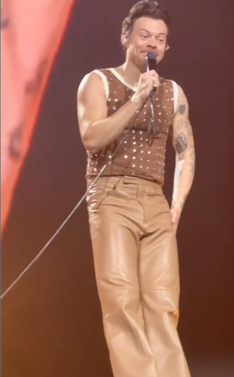 Harry insisted Sian went for a wee while he 'stalled'. Credit:TikTok/@daydreaminginc