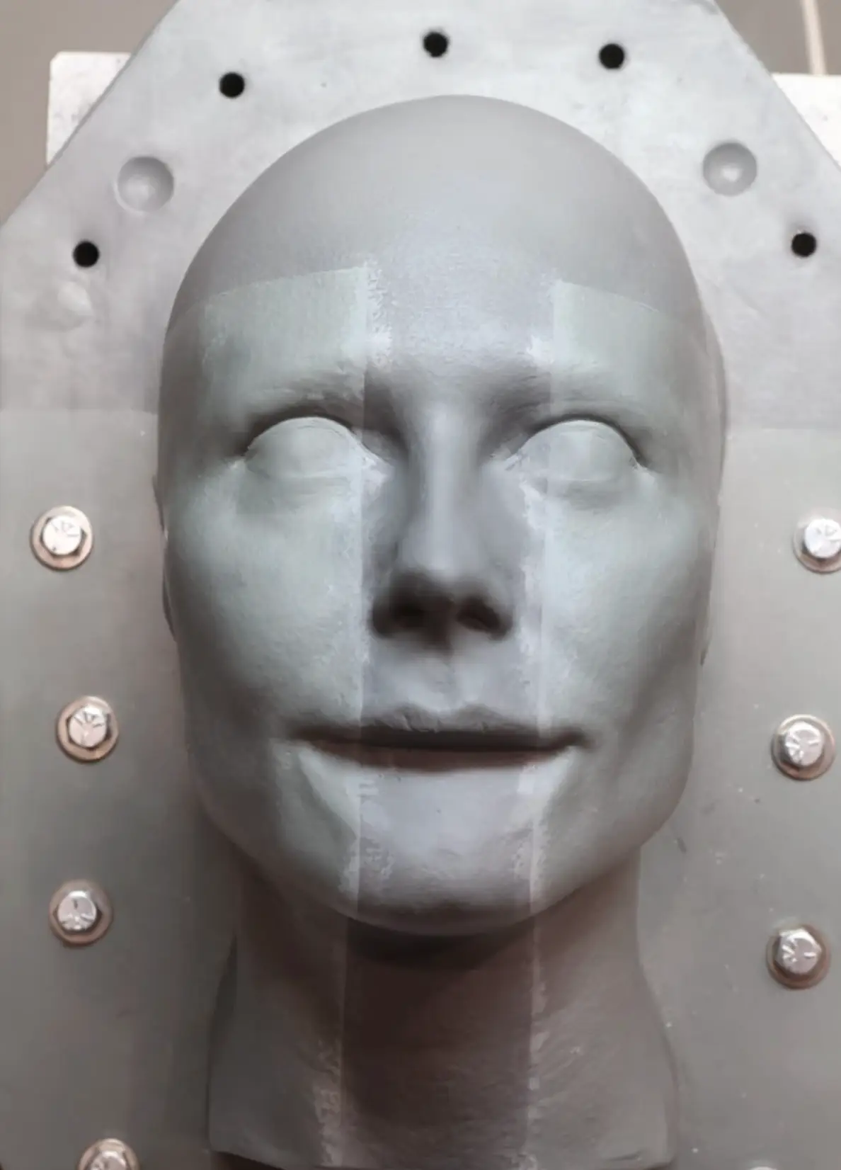 The model has given fans an early sneak peak of her costume (Instagram/heidiklum)