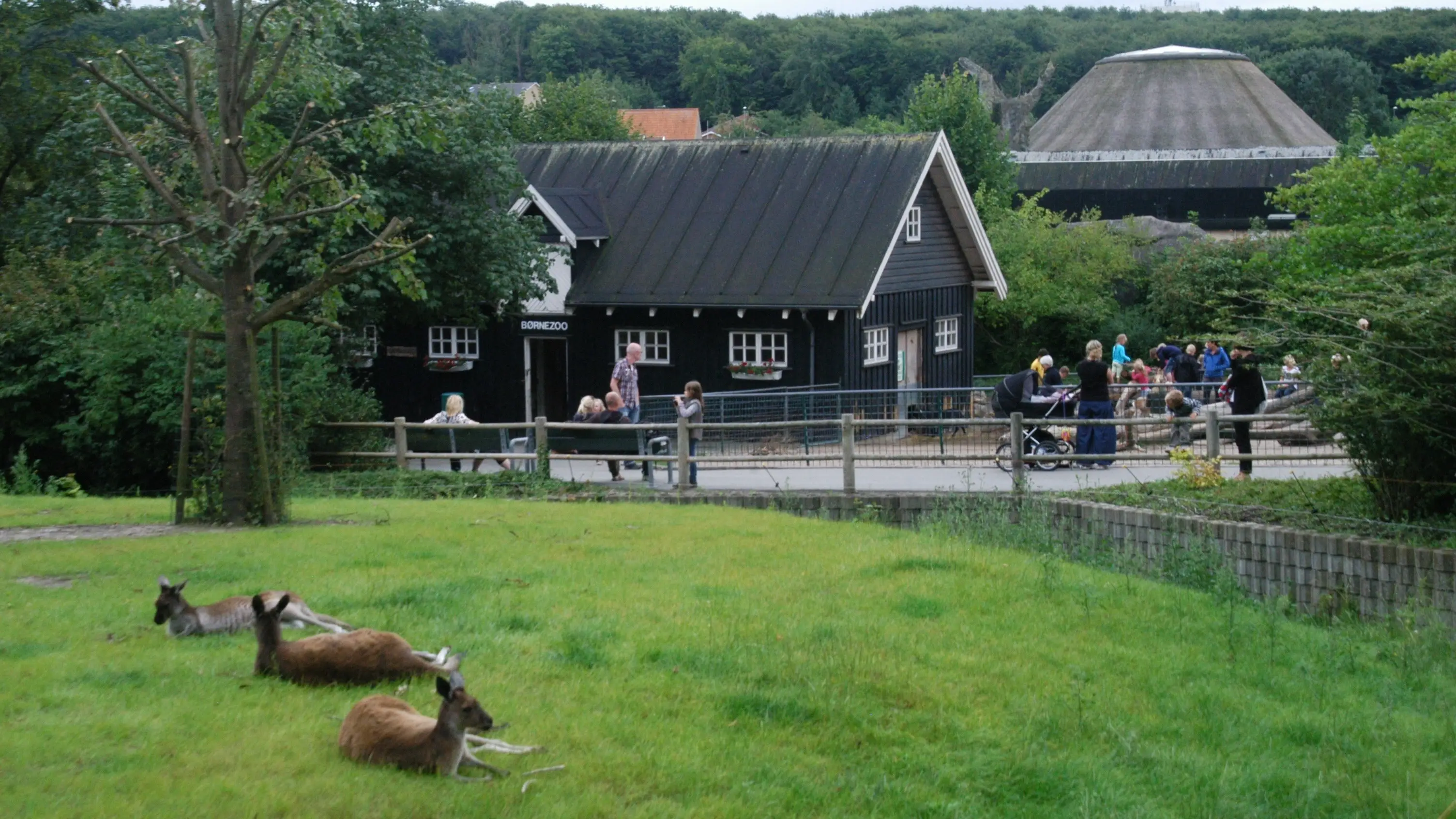 Peter Bischoff/Getty Images