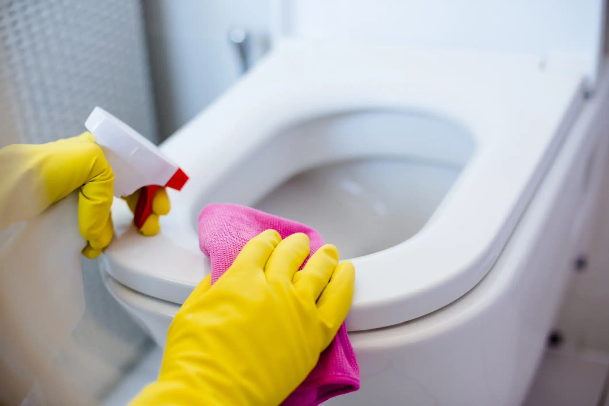 The TikTok creator says you should dust your toilet before you begin scrubbing (Getty Stock Image)